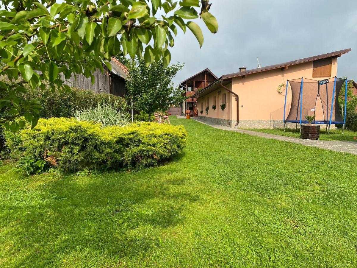 Pensiunea Denis Cîrţişoara Exterior foto