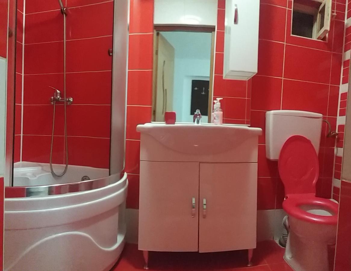 Pensiunea Denis Cîrţişoara Exterior foto